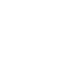 AFA Internacional